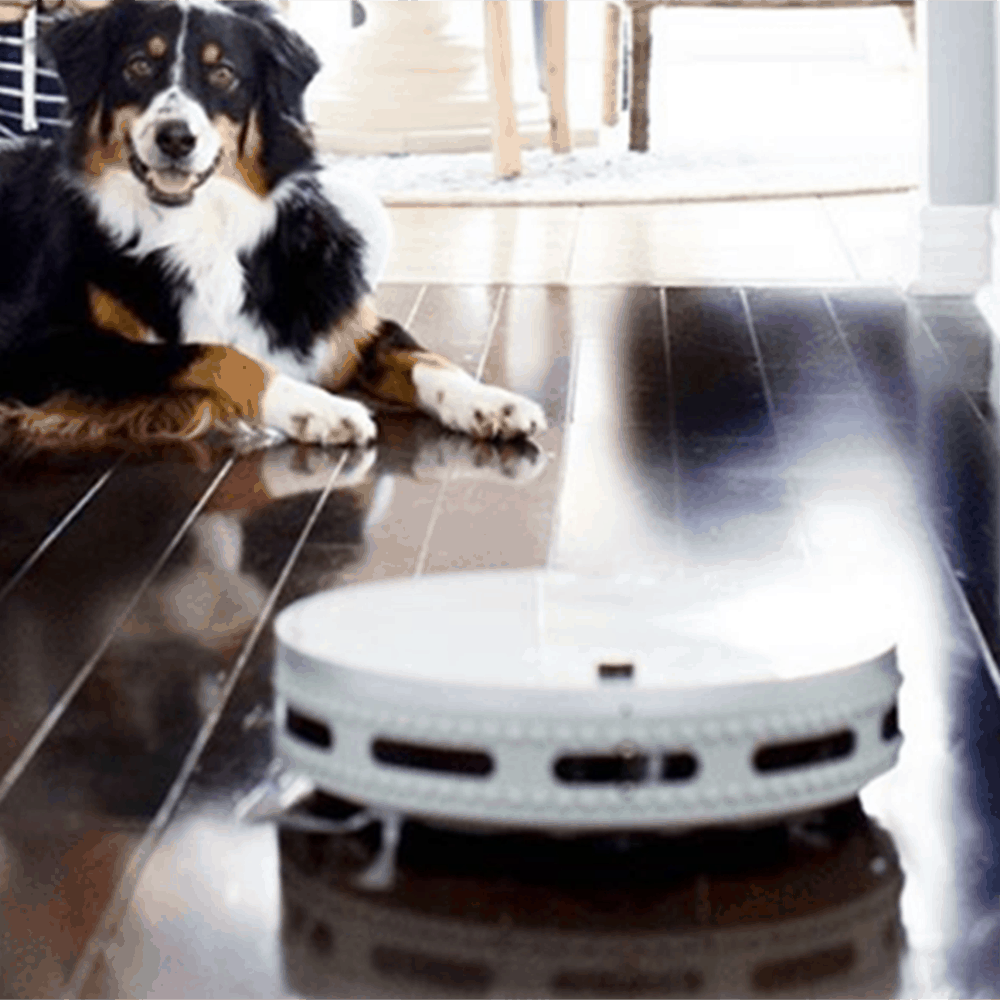 Pilot Max, pet friendly rovot vaccuum cleaner, robot vacuum cleaner Pet