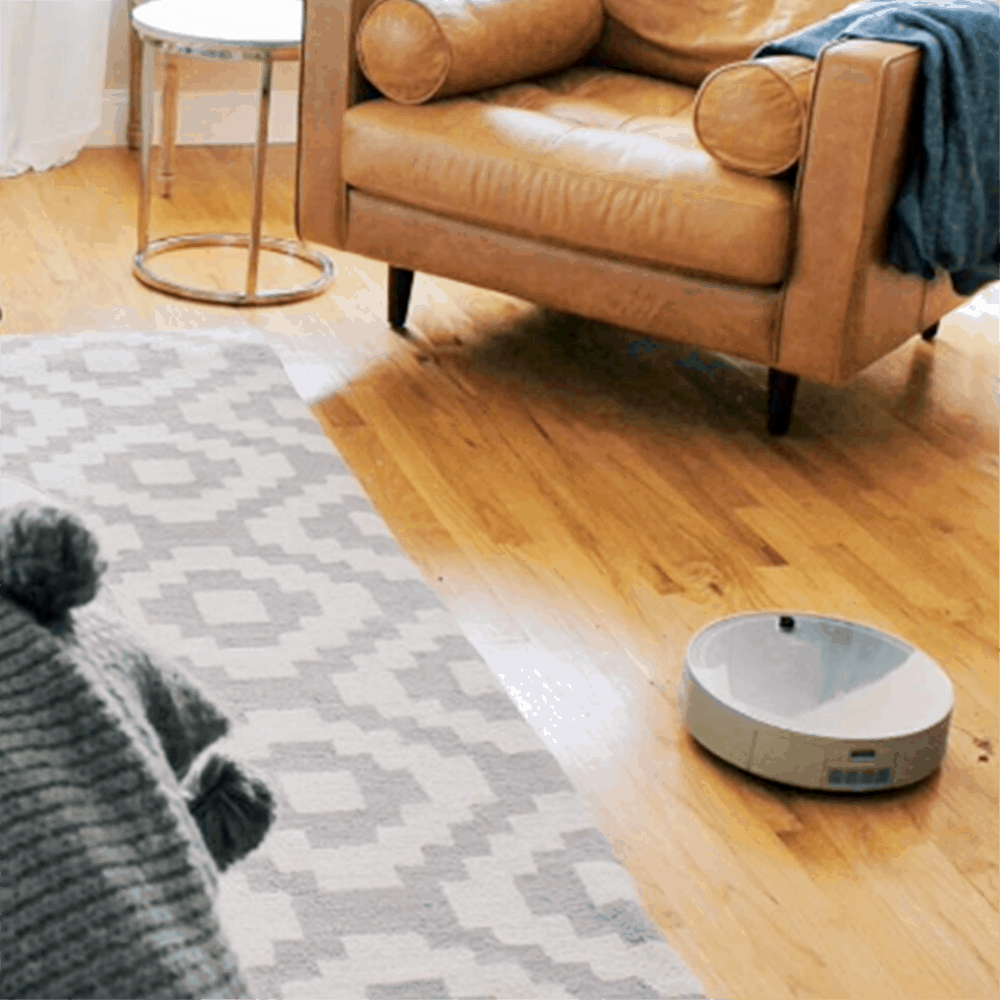 Pilot Max in home: do robot vacuum cleaners work?